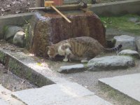 IMG_1139.JPG